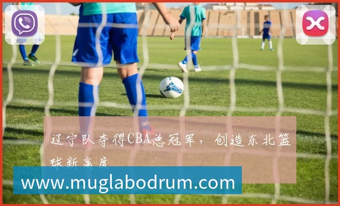 辽宁队夺得CBA总冠军,创造东北篮球新高度