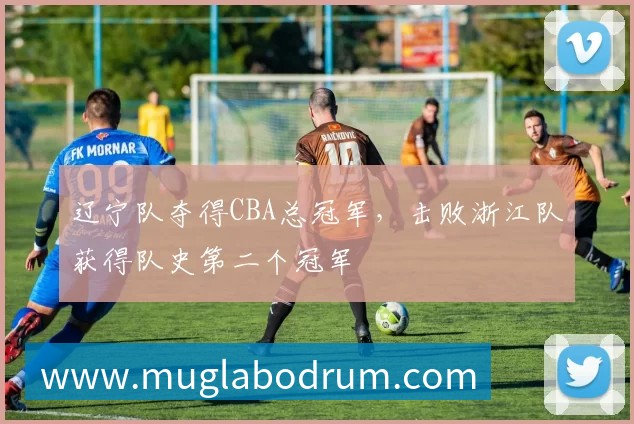 辽宁队夺得CBA总冠军,击败浙江队获得队史第二个冠军